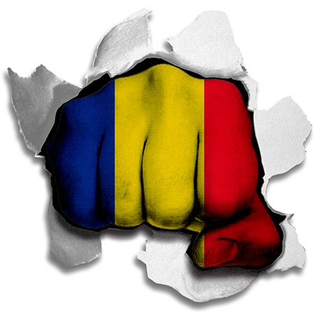 Fist Romania Flag Logo vinyl decal